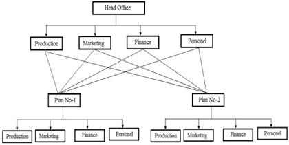 Functional Organizational Structure.jpg